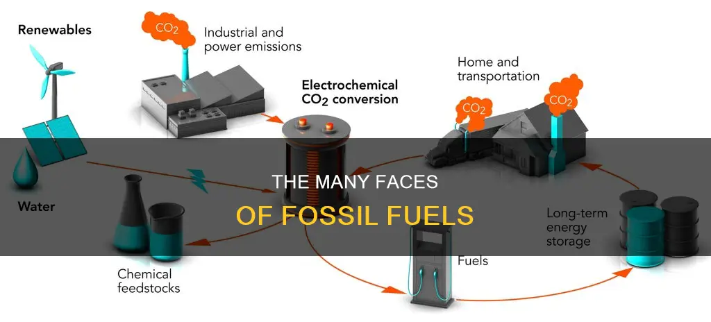 what do fossil fuels look like