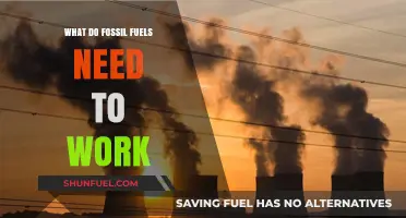 How Fossil Fuels Function: Essential Components for Energy Production