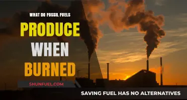 Burning Fossil Fuels: Emissions, Energy, and Environmental Impacts Explained