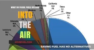 Fossil Fuels' Air Pollution: Emissions, Impacts, and Environmental Consequences