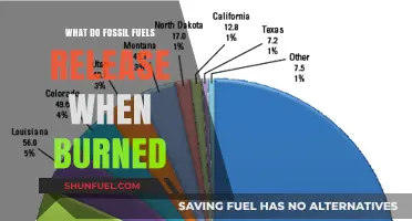 Burning Fossil Fuels: Unveiling the Emissions and Environmental Impact