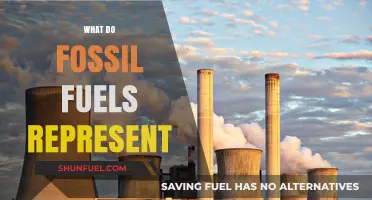 Fossil Fuels: Power, Pollution, and the Planet's Energy Dilemma