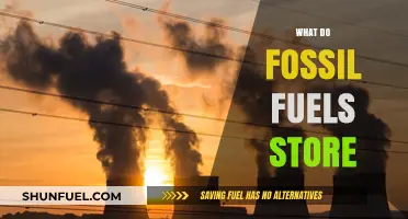 Unlocking Energy Secrets: What Fossil Fuels Store and How They Work