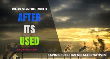 From Fossil Fuels to Emissions: Understanding Post-Use Transformation