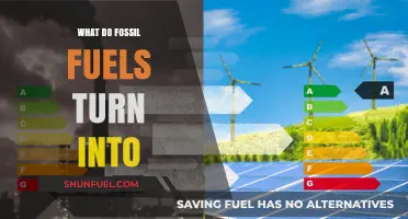 From Fossil Fuels to Energy: Unveiling the Transformation Process