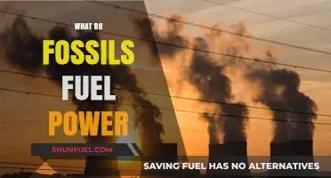 Fossil Fuels: Powering Our World, Impacting Our Future