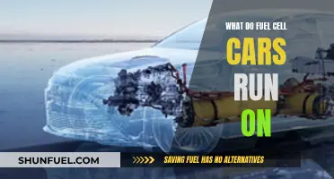 Fuel Cell Cars: Hydrogen Power for the Future