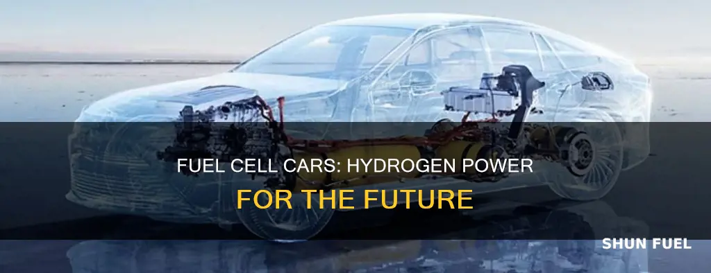 what do fuel cell cars run on