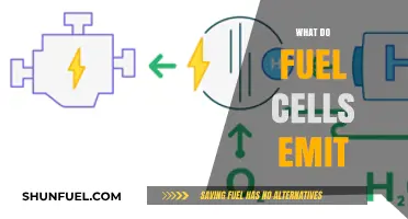 What Do Fuel Cells Emit? Unveiling Emissions and Environmental Impact