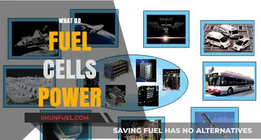 What Do Fuel Cells Power? Exploring Their Diverse Applications