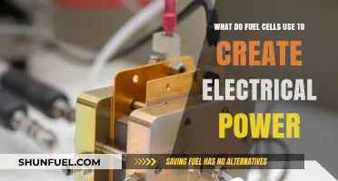 How Fuel Cells Generate Electricity: Key Components and Processes Explained