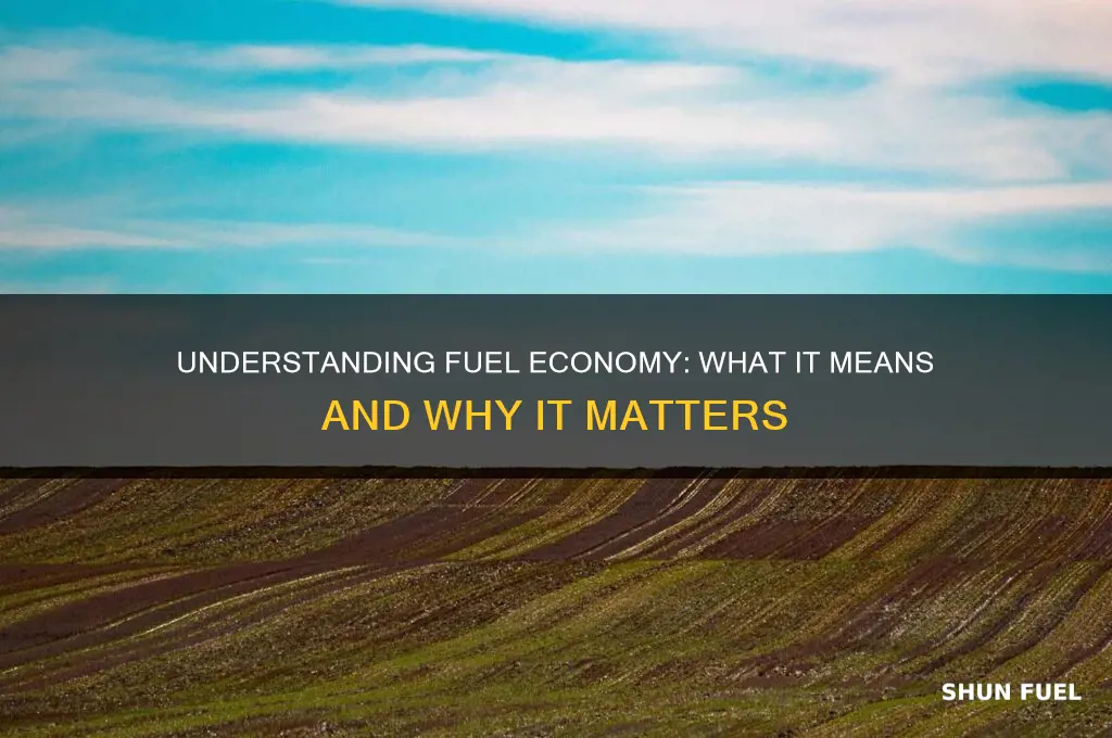 what do fuel economy mean
