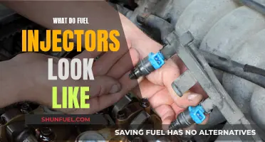 A Visual Guide to Fuel Injectors: What They Look Like