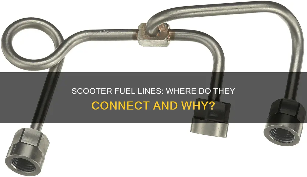 what do fuel lines connect to on a scooter