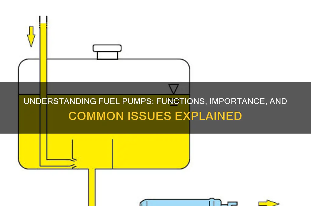 what do fuel pumps do