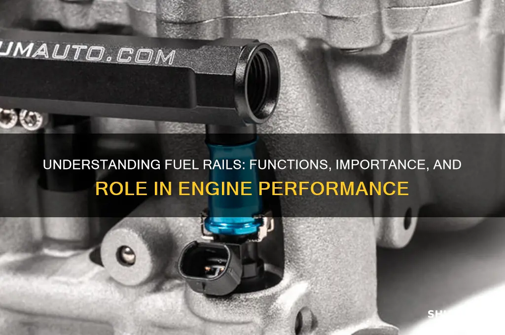 what do fuel rails do