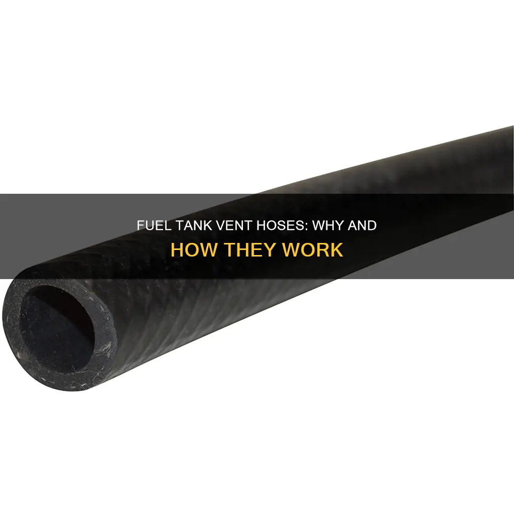 what do fuel tank vent hoses do