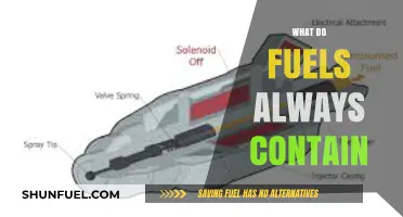 What Do Fuels Always Contain? Essential Components Explained