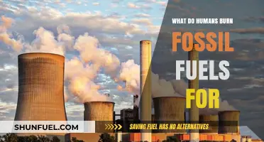 Why Humans Burn Fossil Fuels: Energy, Industry, and Daily Life