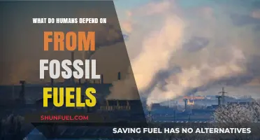 Fossil Fuels: Powering Transportation, Energy, and Modern Human Life