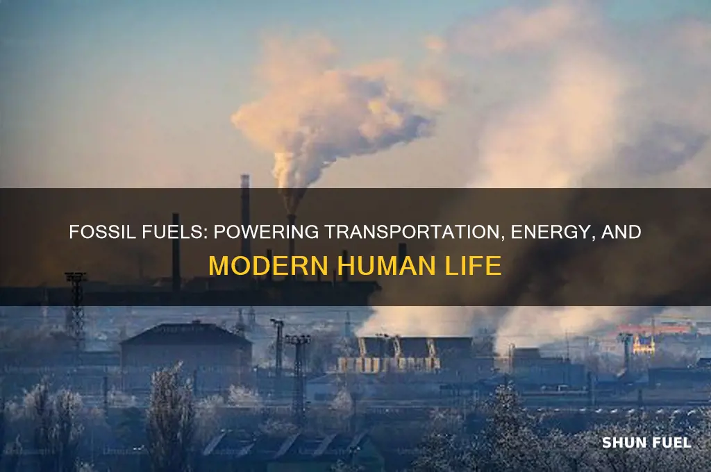 what do humans depend on from fossil fuels