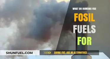 Fossil Fuels: Powering Industries, Transportation, and Daily Life Explained