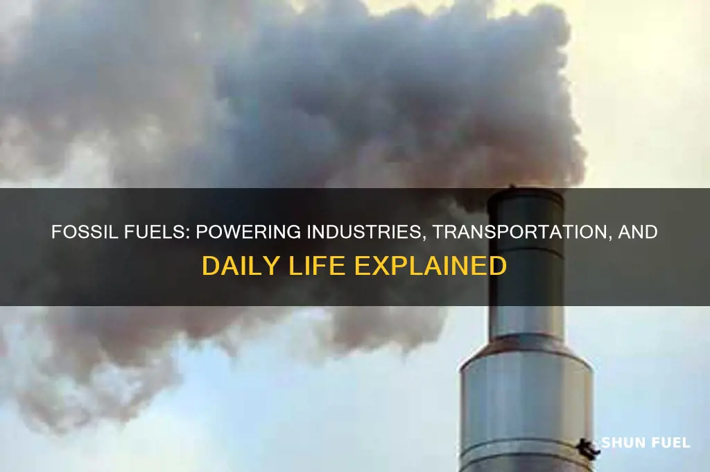 what do humans use fosil fuels for