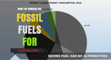 How Fossil Fuels Power Our Daily Lives: Uses and Impact