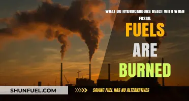Fossil Fuel Combustion: Hydrocarbon Reactions and Environmental Impacts Explained