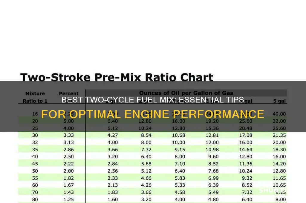 what do i use for two cycle fuel