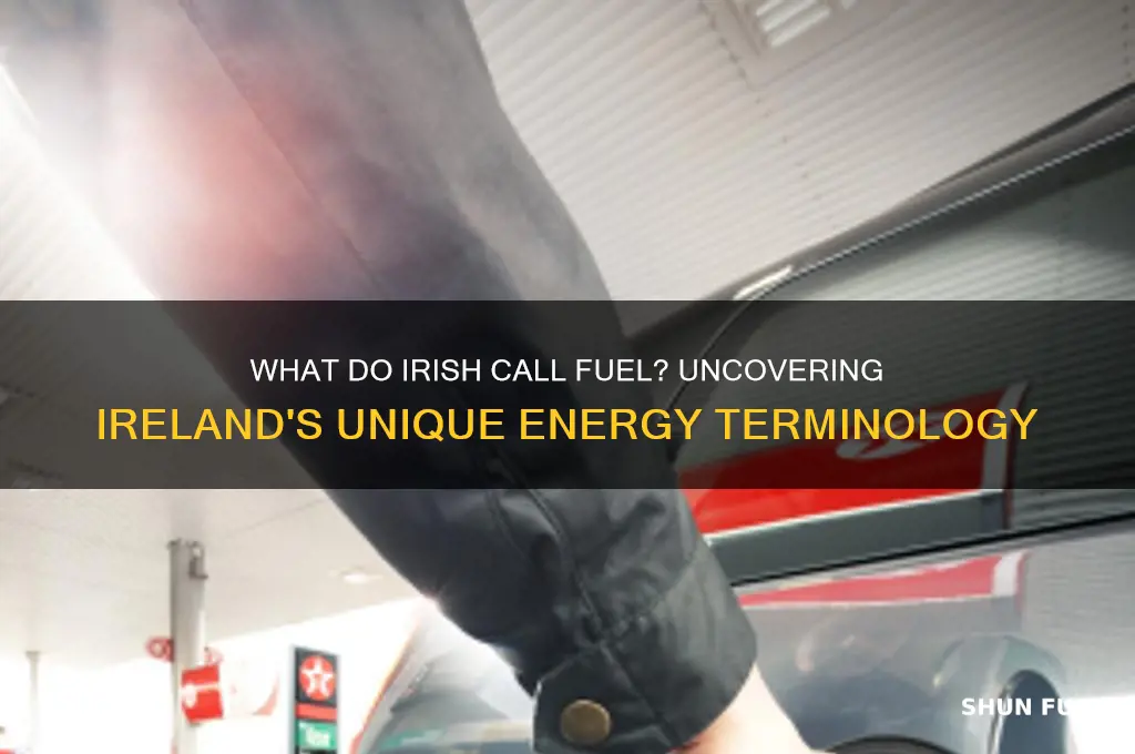 what do irish call fuel
