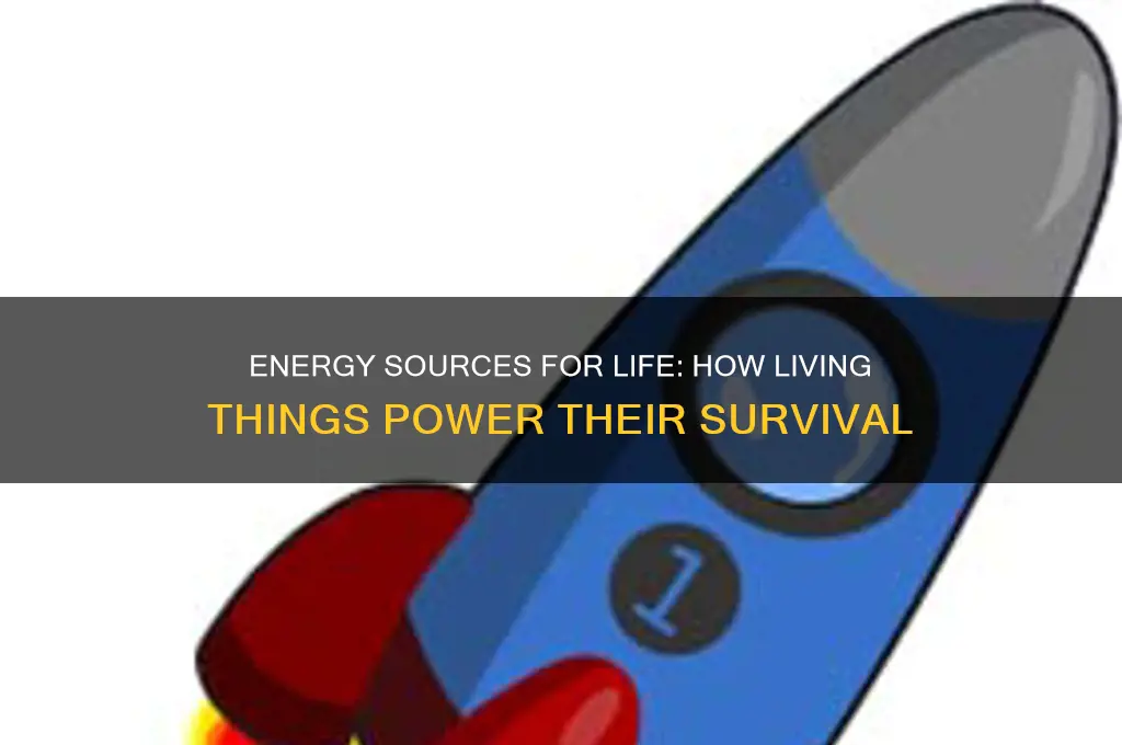 what do living things use for fuel