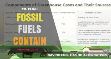 Unveiling Fossil Fuels: Key Components and Their Environmental Impact Explained