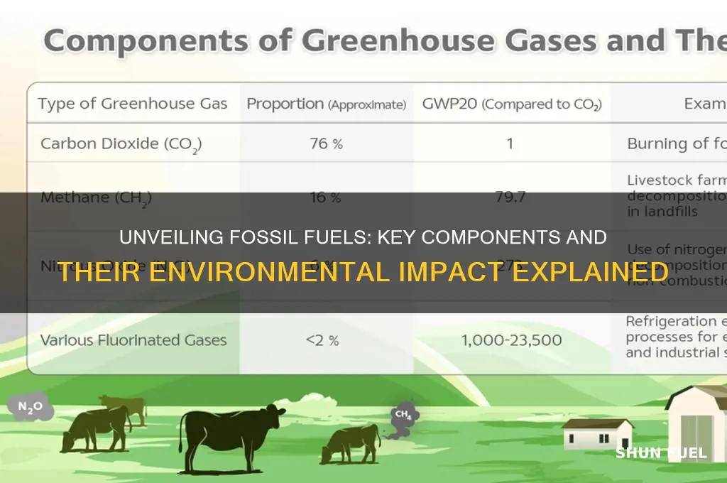 what do most fossil fuels contain