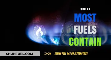 Understanding Fuel Composition: Key Elements Found in Most Fuels