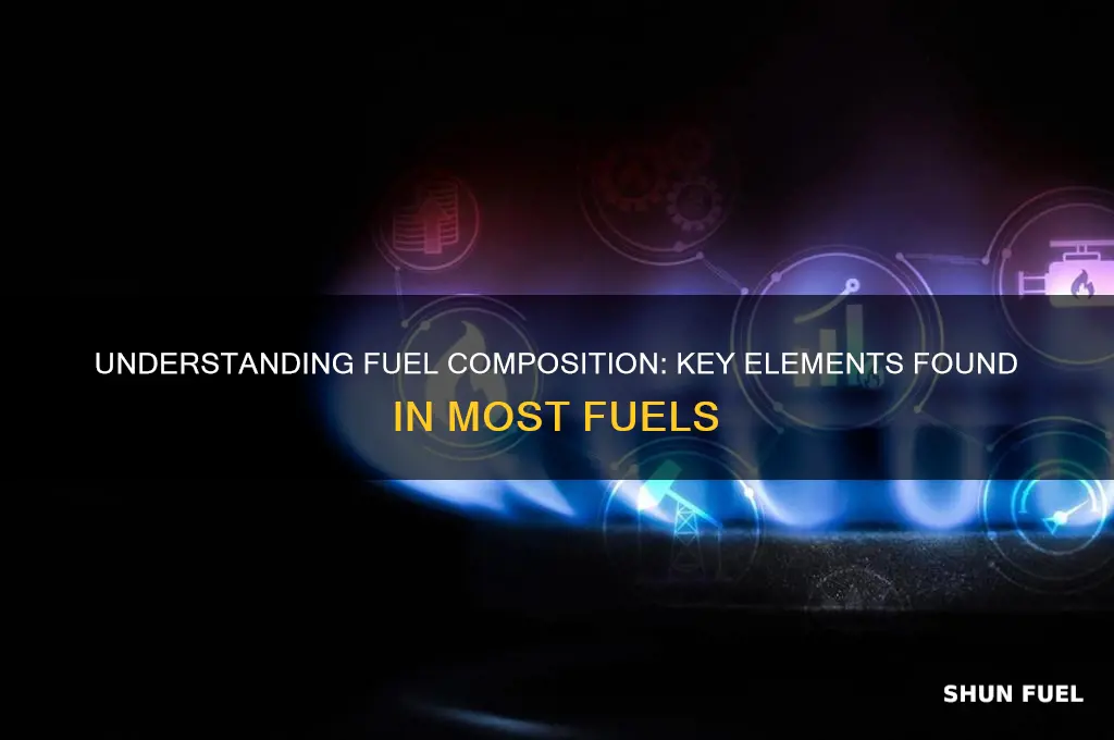 what do most fuels contain