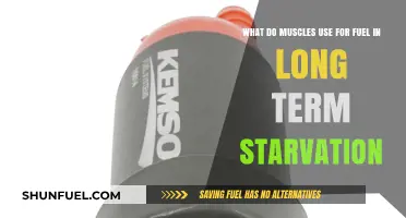 Muscle Fuel Sources During Prolonged Starvation: Survival Mechanisms Explained