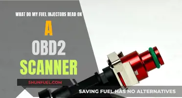 Understanding Fuel Injector Health via OBD2 Scans