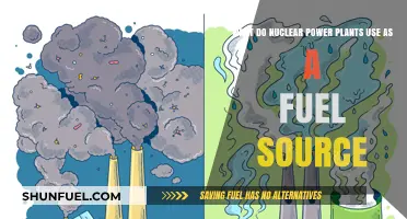 Nuclear Power Plants: Unveiling the Primary Fuel Source for Energy Generation