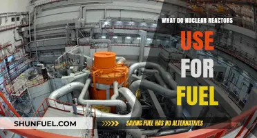 Understanding Nuclear Reactor Fuel: Uranium, Plutonium, and Beyond