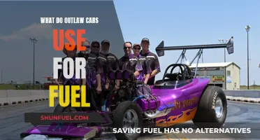 Outlaw Cars: Fuel Options and Their Impact