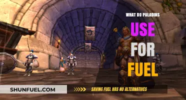 What Powers Paladins: Unveiling Their Divine Fuel Source