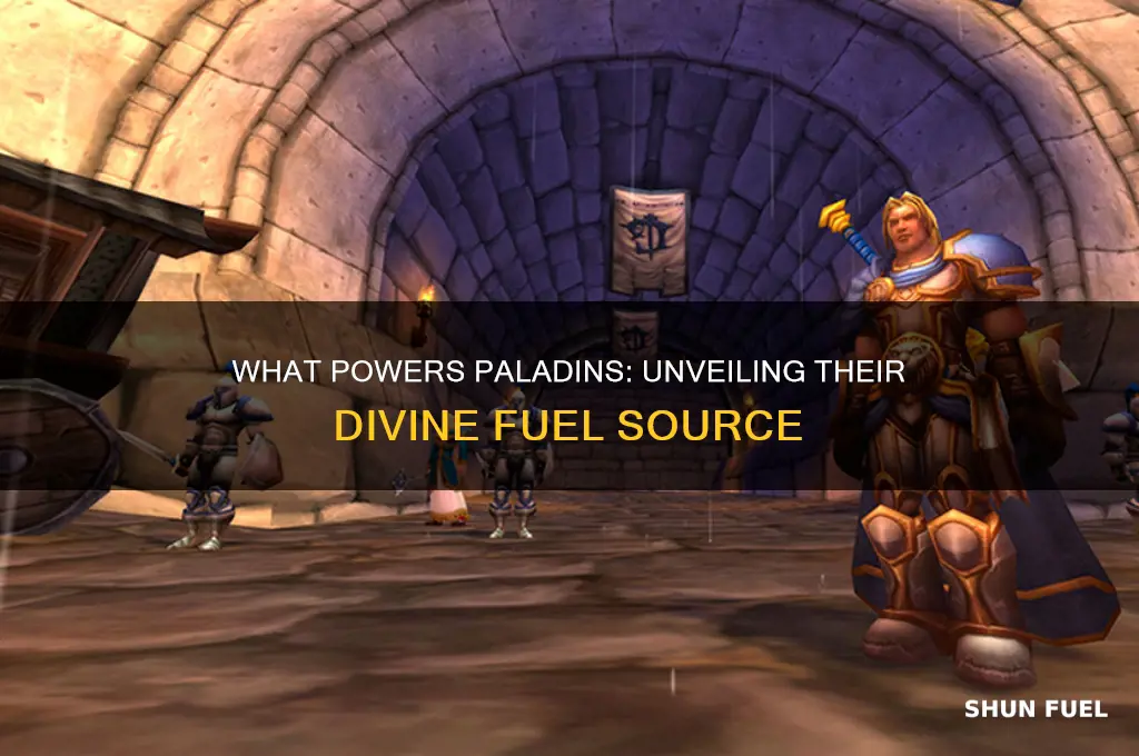 what do paladins use for fuel