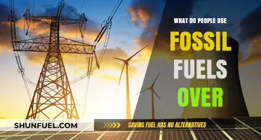 Why Fossil Fuels Remain Dominant Despite Growing Renewable Energy Alternatives