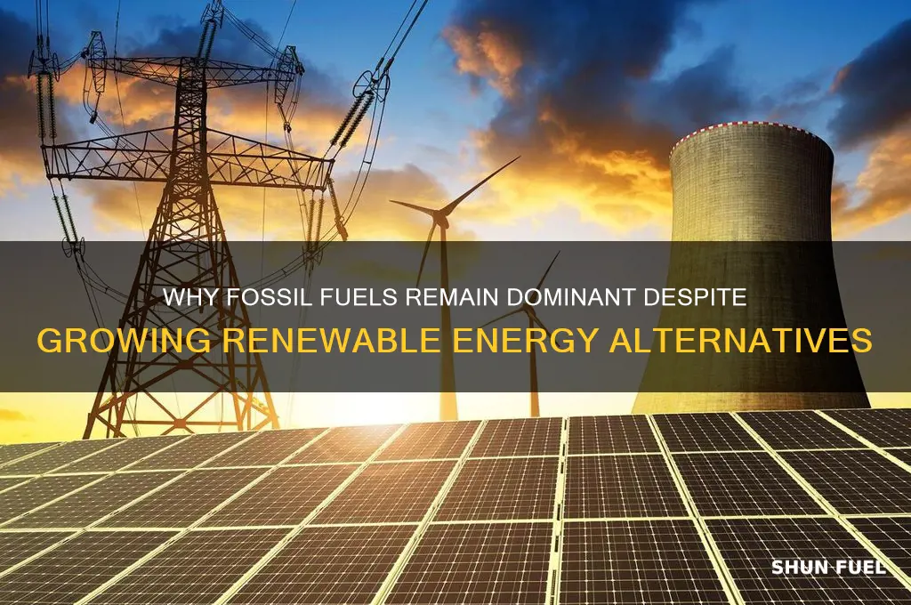 what do people use fossil fuels over