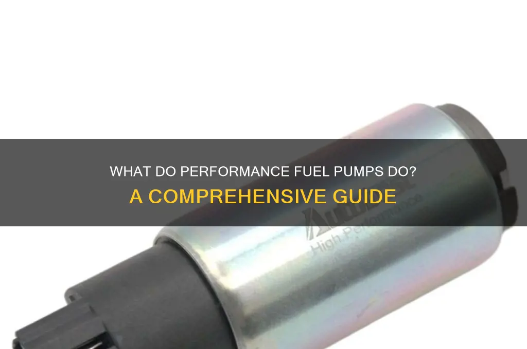what do performance fuel pumps do