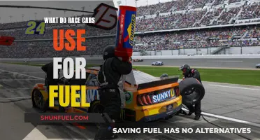 Race Cars: Fuel Options and Performance