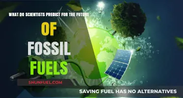 Fossil Fuels' Fate: Scientists' Predictions for a Changing Energy Landscape