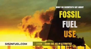 Scientists Warn: Fossil Fuel Use Drives Climate Crisis