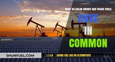 Solar Energy vs. Fossil Fuels: Shared Traits in Power Generation
